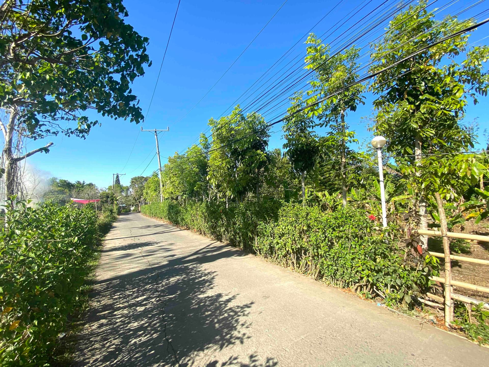 1BR Residential for Sale in Amadeo