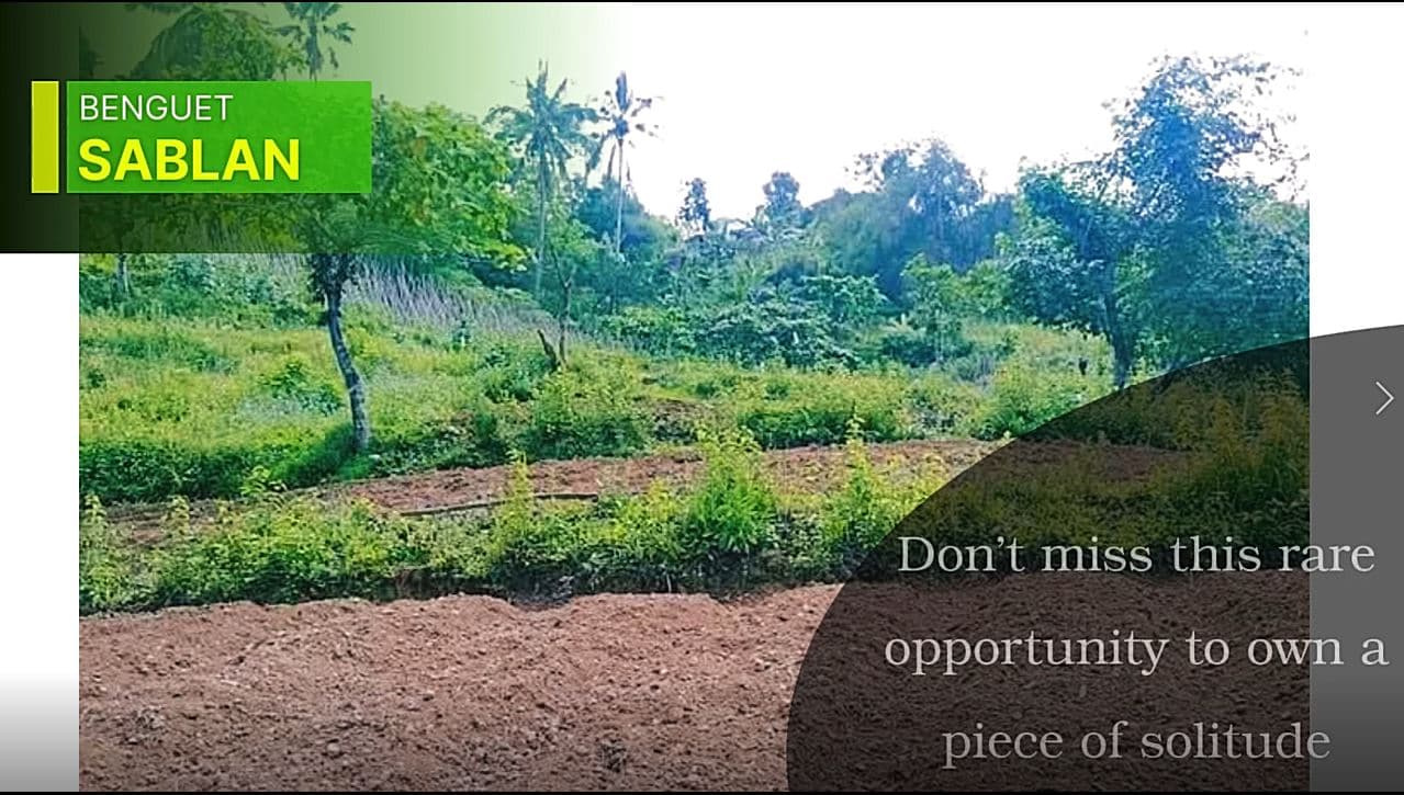 2.6 Hectars Agricultural Lot in Sablan Benguest For Sale - LSS