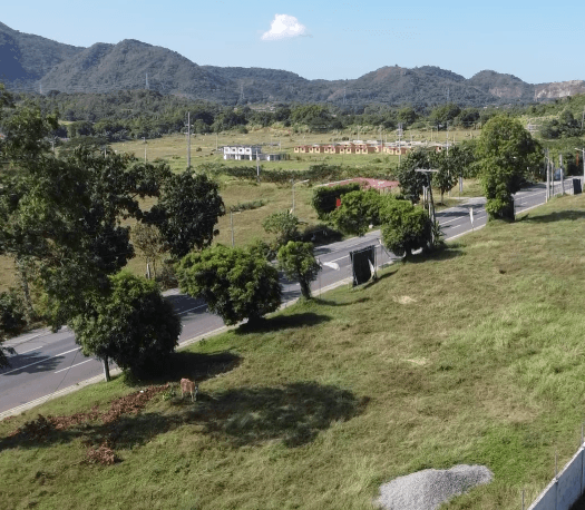 Along the road Commercial Lot For Sale in Sambat Balayan Batangas - RAS