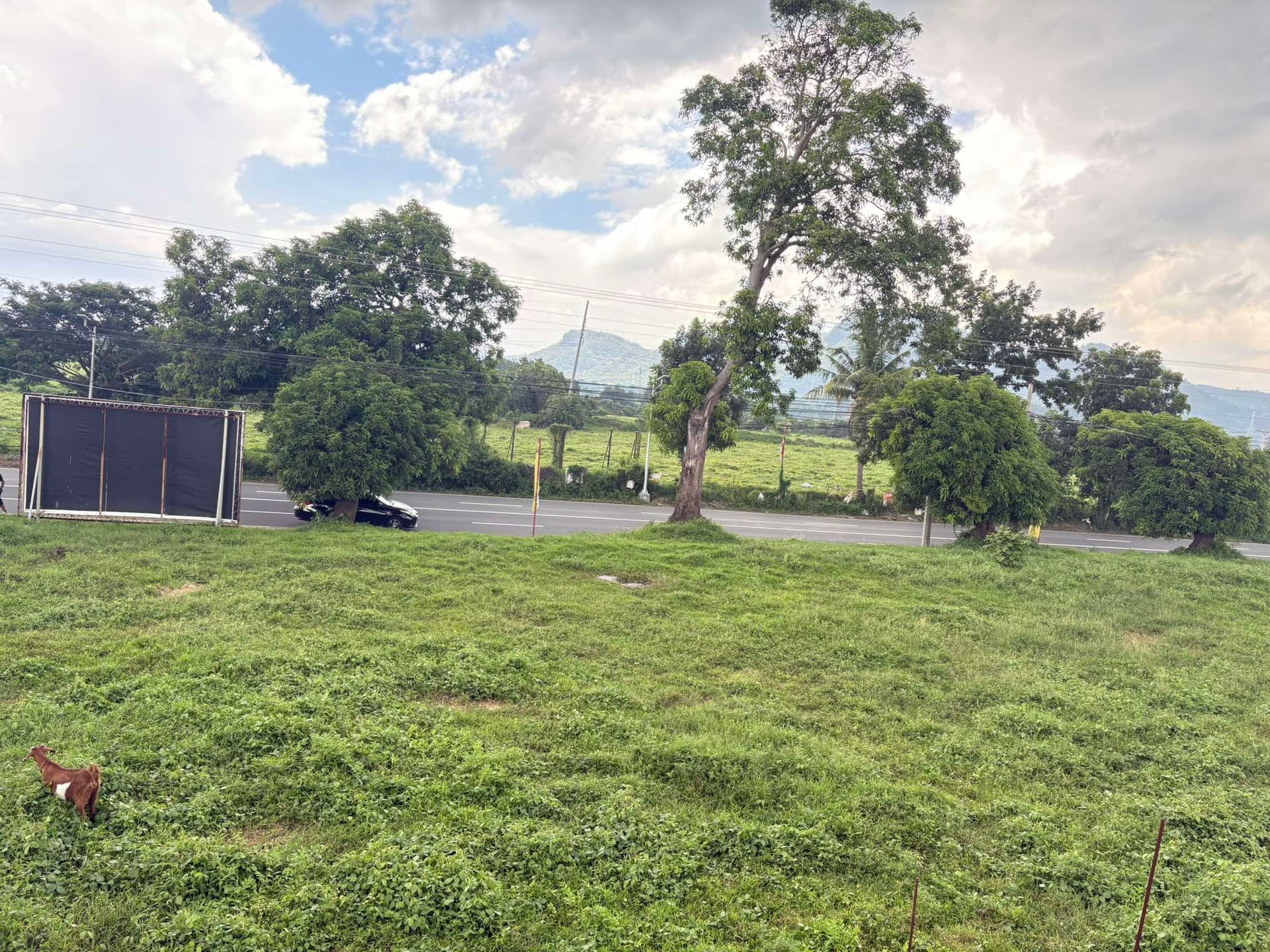 6.5M Commercial Lot in Sambat Balayan Batangas For Sale - LSS