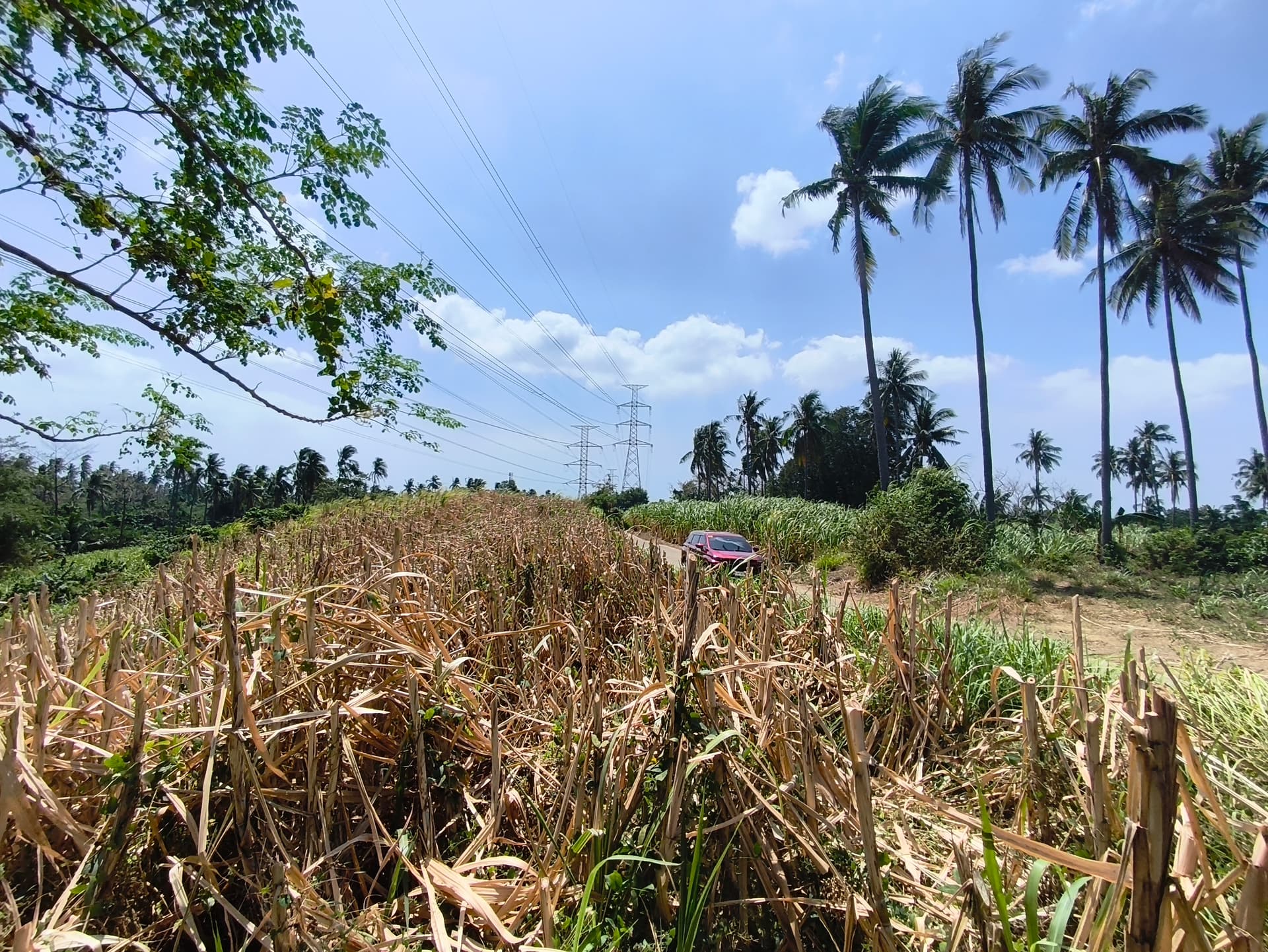 For Sale 50,000sqm Agricultural Lot in Timbain Calaca Batangas - LSS