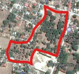 287.5M Mango Farm Located in Calatagan, Batangas For Sale - LSS