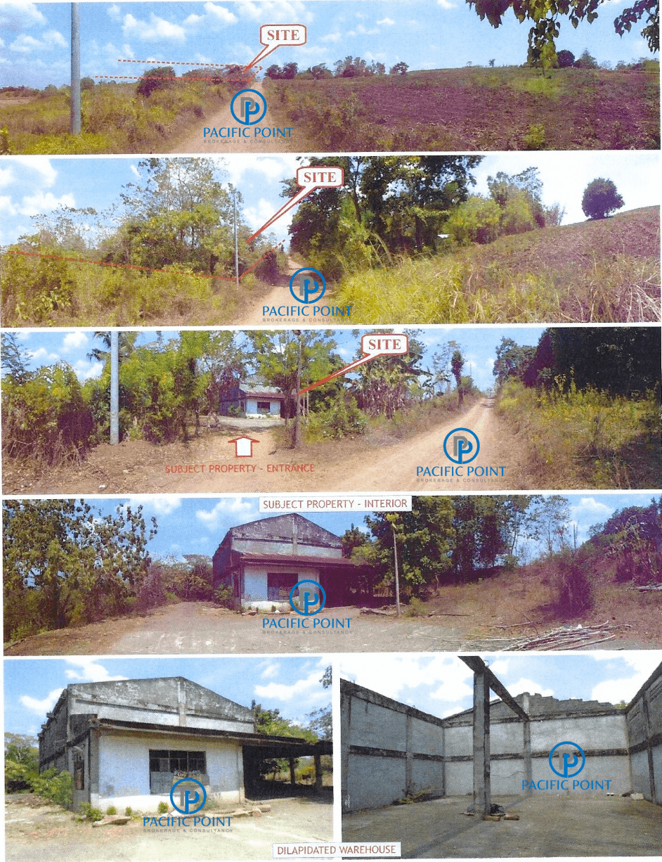 Agricultural Raw Land for Sale in Naguilian, Isabela
