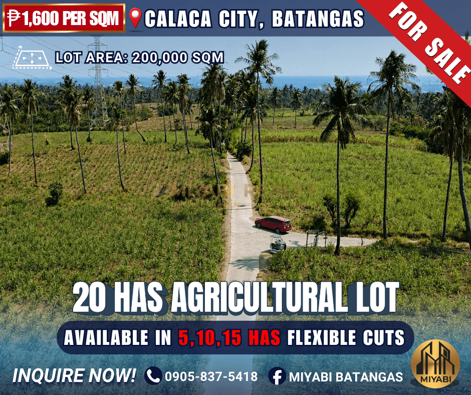 20 Hectares Agricultural Lot for Sale in Calaca, Batangas | ₱1,600/sqm - RAS