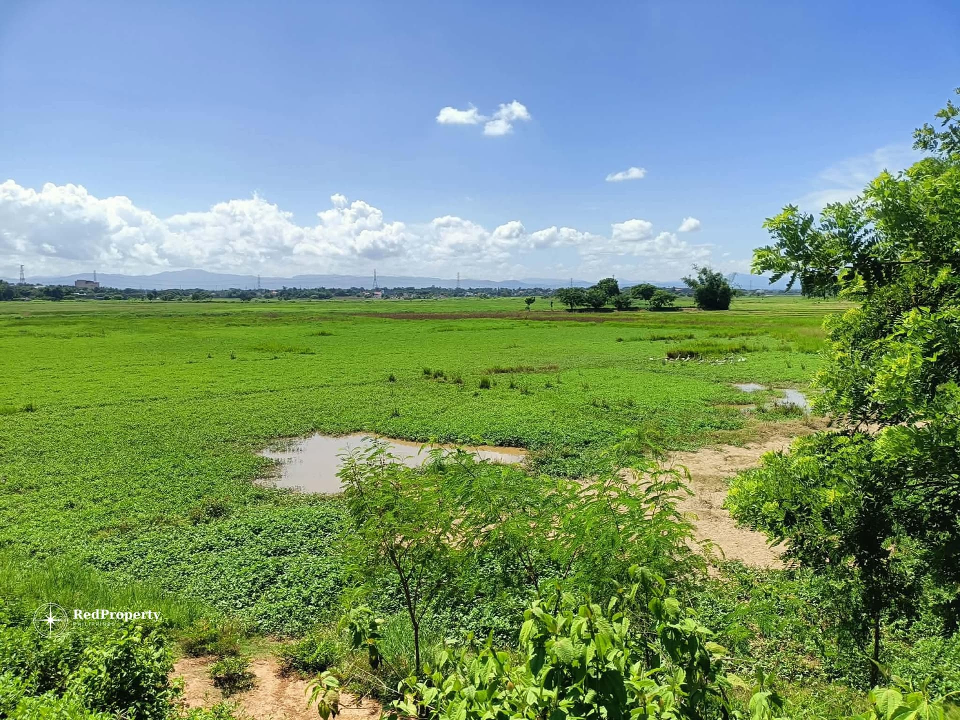 Agricultural Property for Sale – San Ildefonso, Bulacan