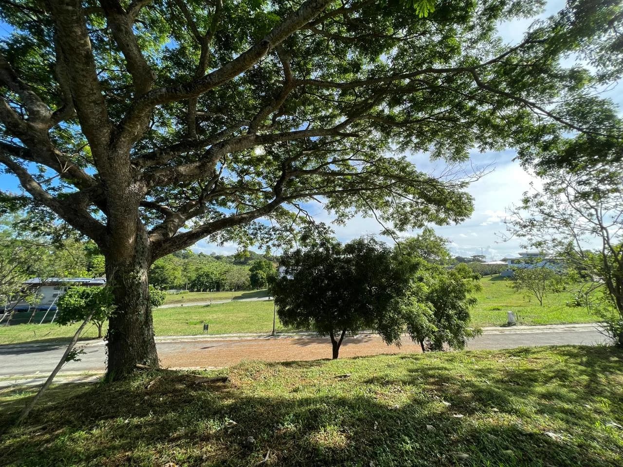 Ayala Westgrove Heights | Lot for Sale in Cavite