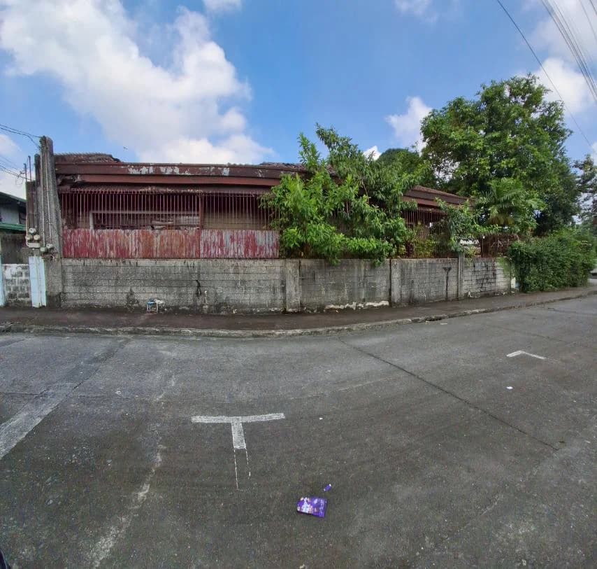 Industrial Valley Complex | Lot for Sale in Marikina City