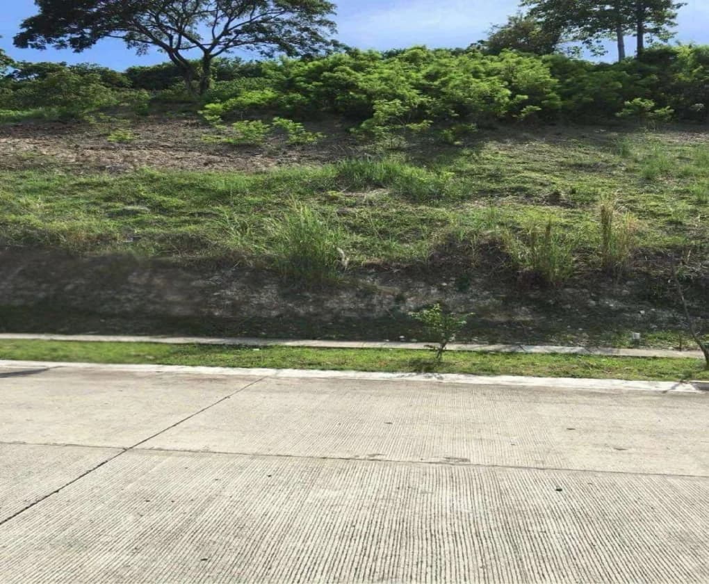 The Peak At Terrazas De Punta Fuego | Lot for Sale in Batangas