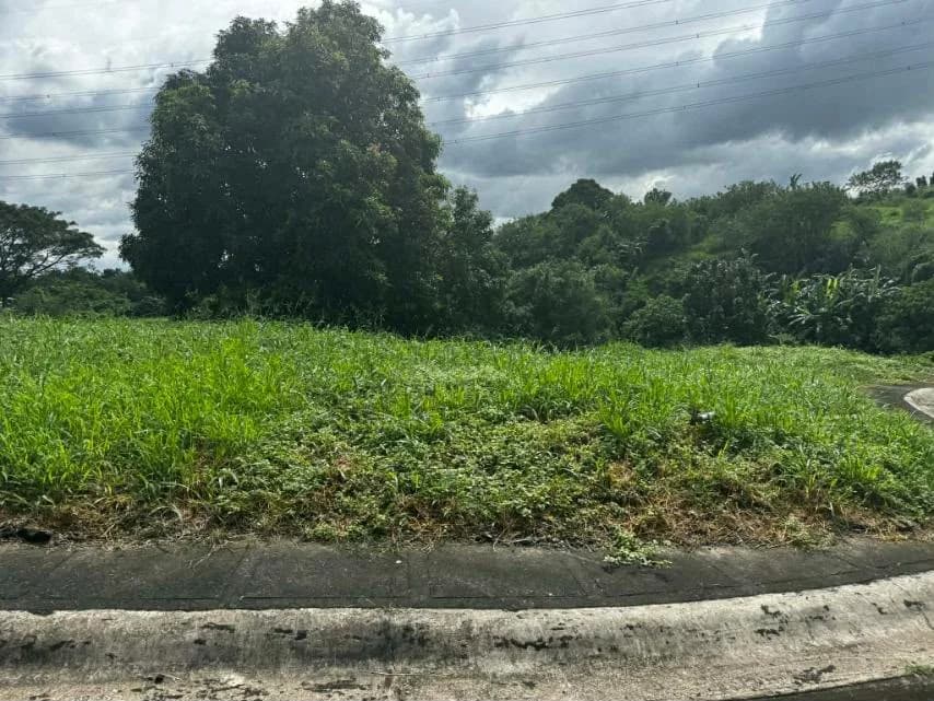 Manila Southwoods | 759sqm Lot for Sale in Cavite