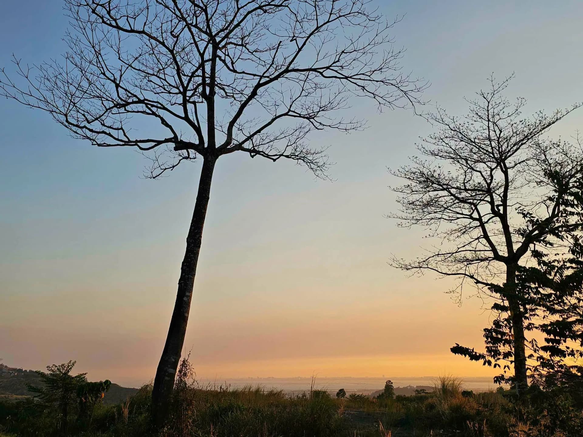 The Grove At Forest Farms By Havila | Lot for Sale in Rizal