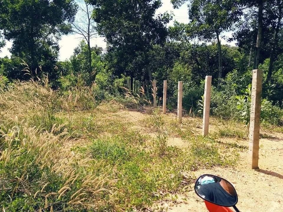Digiboy | Beach Property for Sale in Palawan