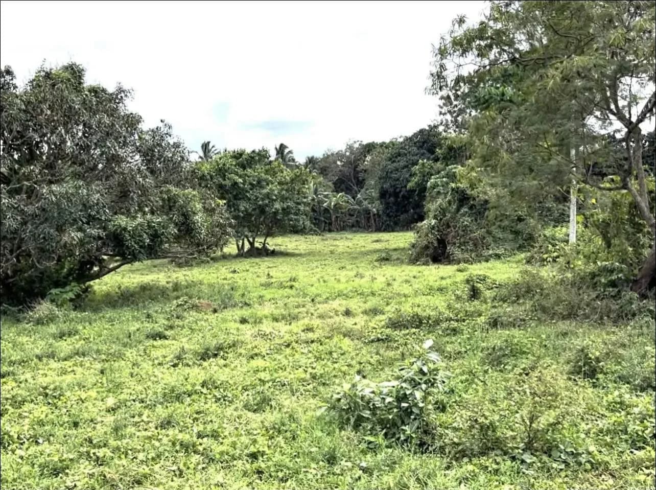 Northbound Star Tollway Road | Lot for Sale in Batangas