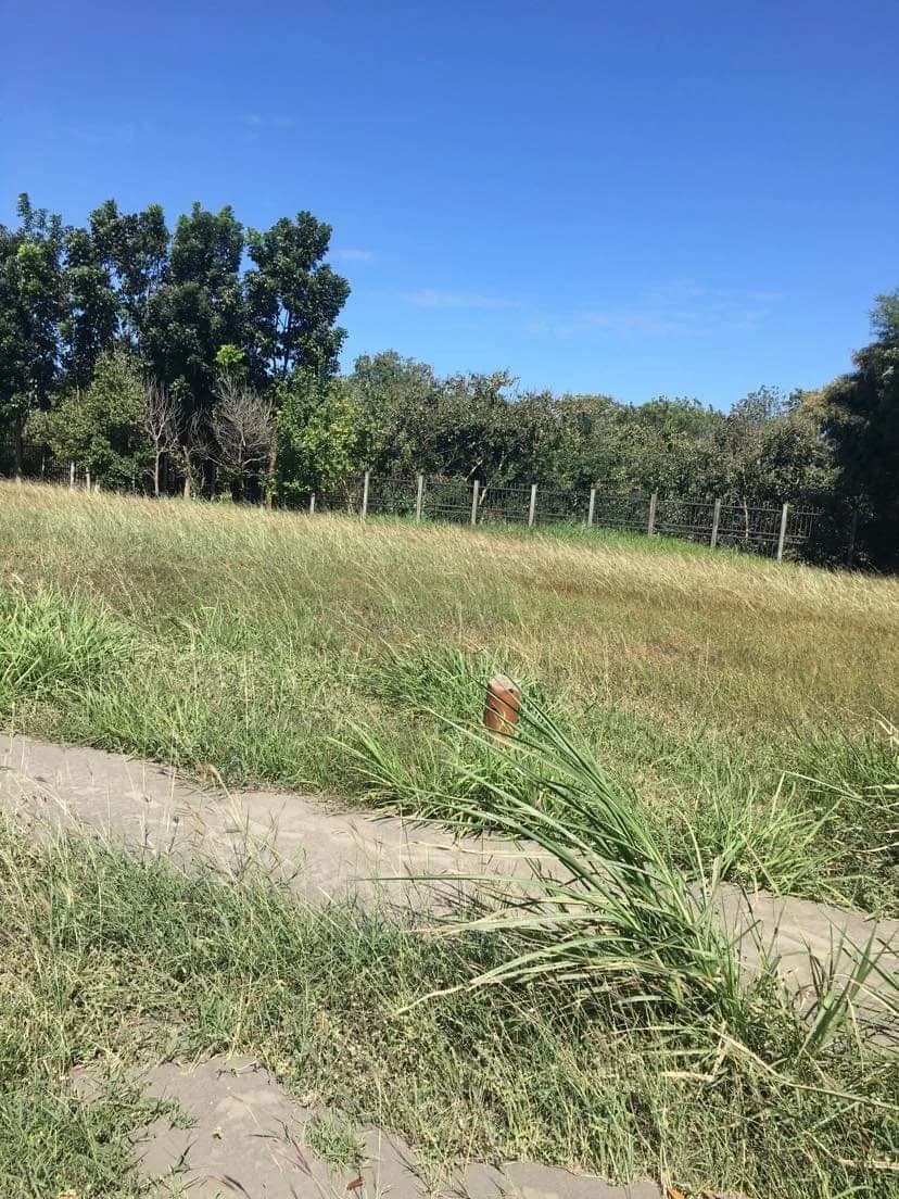 South Forbes Tokyo Mansions | Lot for Sale in Cavite