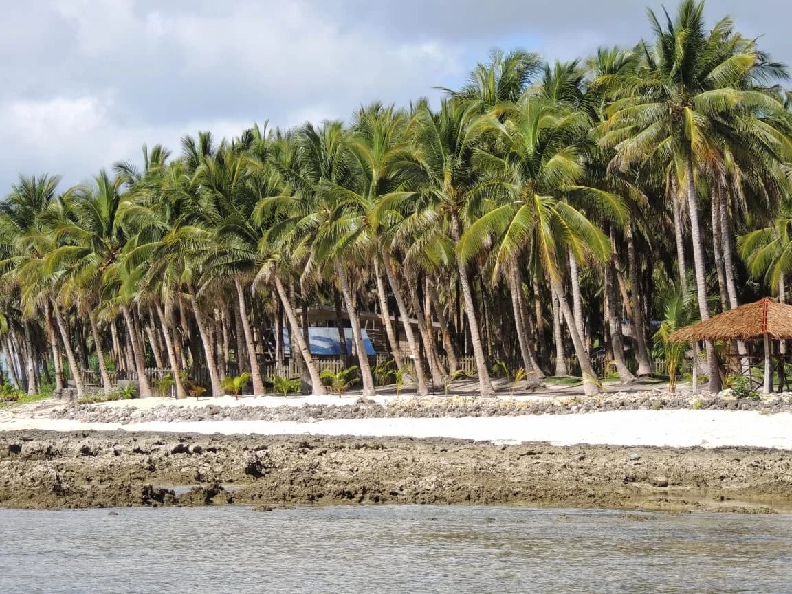 Siargao | Lot for Sale in Siargao