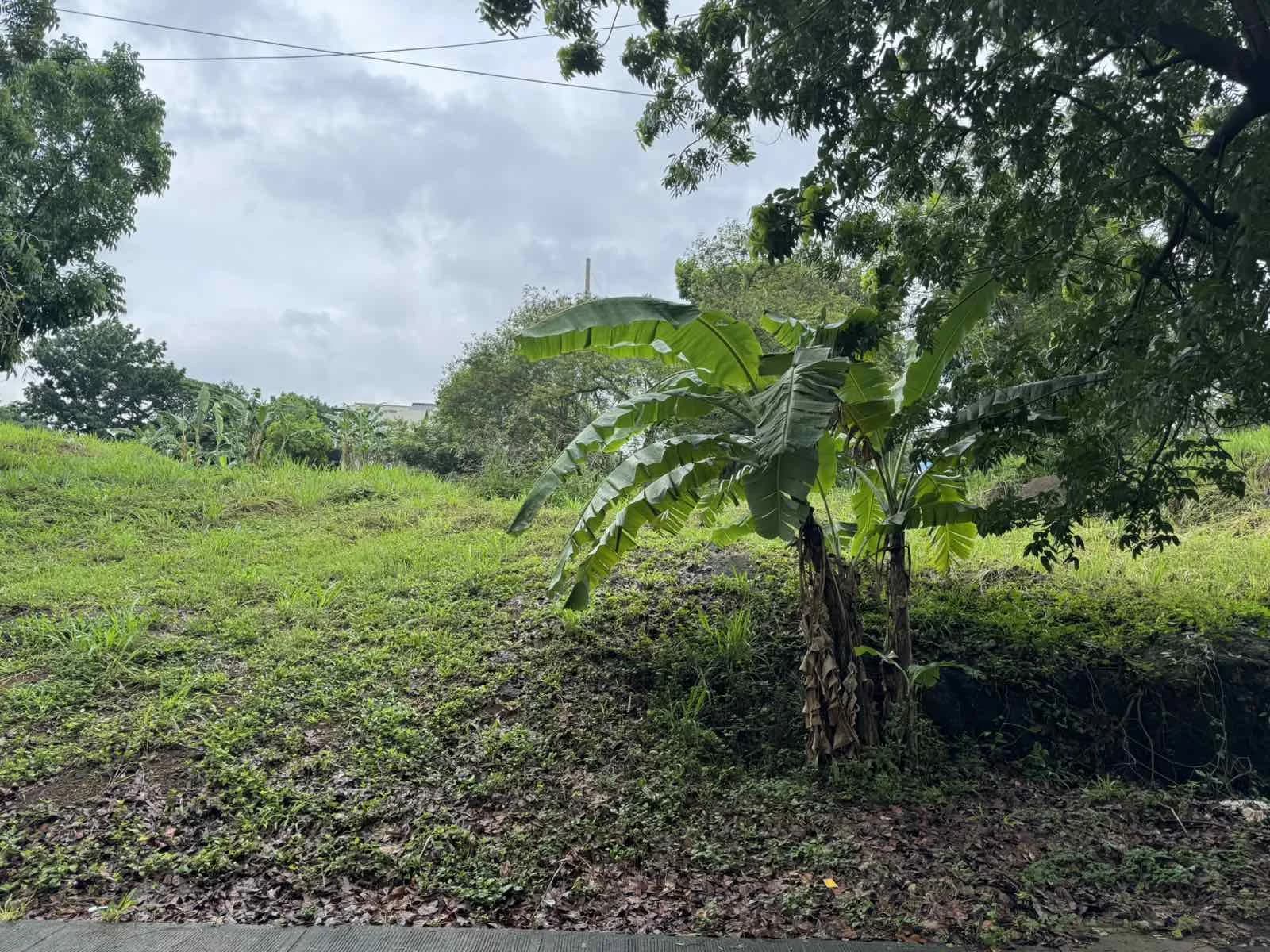 Mission Hills Sta. Catalina At Havila | Lot for Sale in Rizal