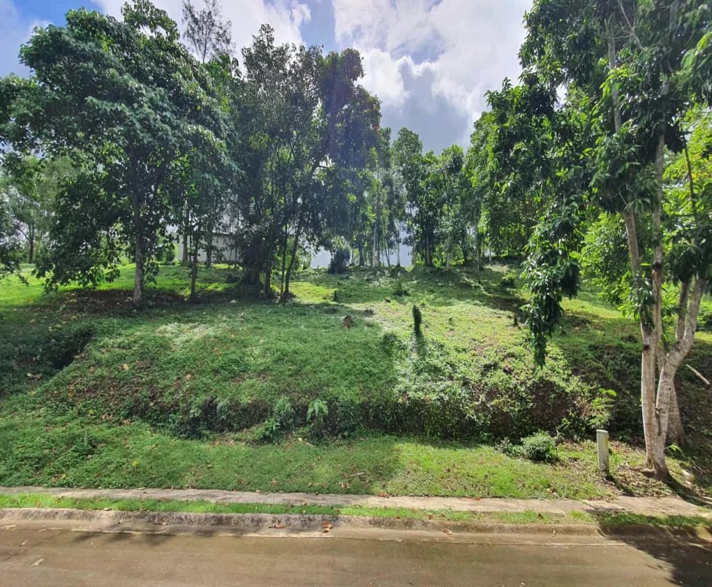 Ayala Westgrove Heights | Lot for Sale in Cavite