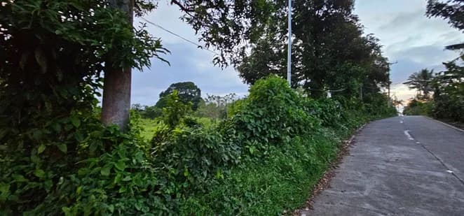 Amadeo Farm Lot | Lot for Sale in Cavite
