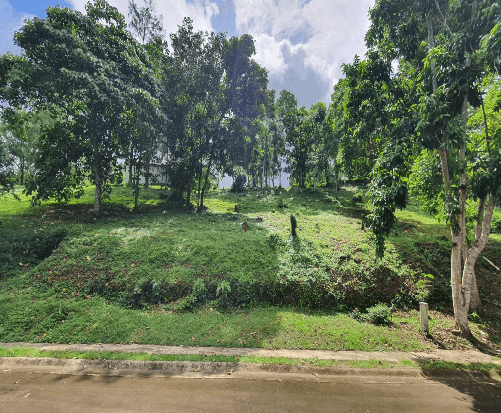 Prime Vacant lot for Sale in Ayala Westgrove Heights Cavite - 516sqm
