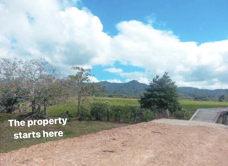 Palawan | Lot for Sale in Palawan