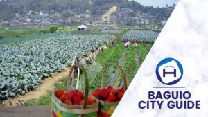 Baguio City Guide