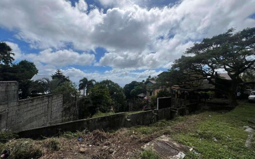 Prime 11,234-Sqm Lot for Sale in Tagaytay Facing Taal Lake – Below Zonal Value!